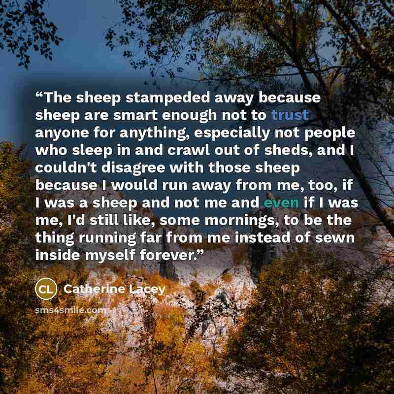 “The sheep stampeded away because sheep are smart enough not to trust anyone for anything, especially not people who sleep in and crawl out of sheds, and I couldn't disagree with those sheep because I would run away from me, too, if I was a sheep and not me and even if I was me, I'd still like…” quote by Catherine Lacey