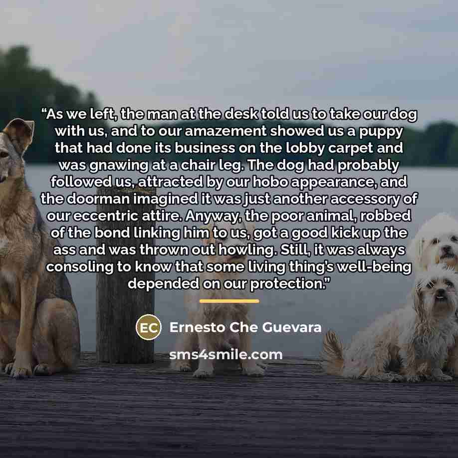 “As we left, the man at the desk told us to take our dog with us, and to our amazement showed us a puppy that had done its business on the lobby carpet and was gnawing at a chair leg. The dog had probably followed us, attracted by our hobo appearance, and the doorman imagined it was just another…” quote by Ernesto Che Guevara