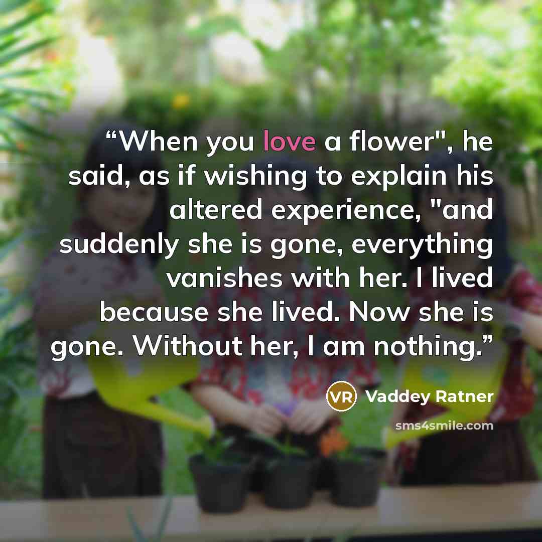 “When you love a flower", he said, as if wishing to explain his altered experience, "and suddenly she is gone, everything vanishes with her. I lived because she lived. Now she is gone. Without her, I am nothing.” quote by Vaddey Ratner