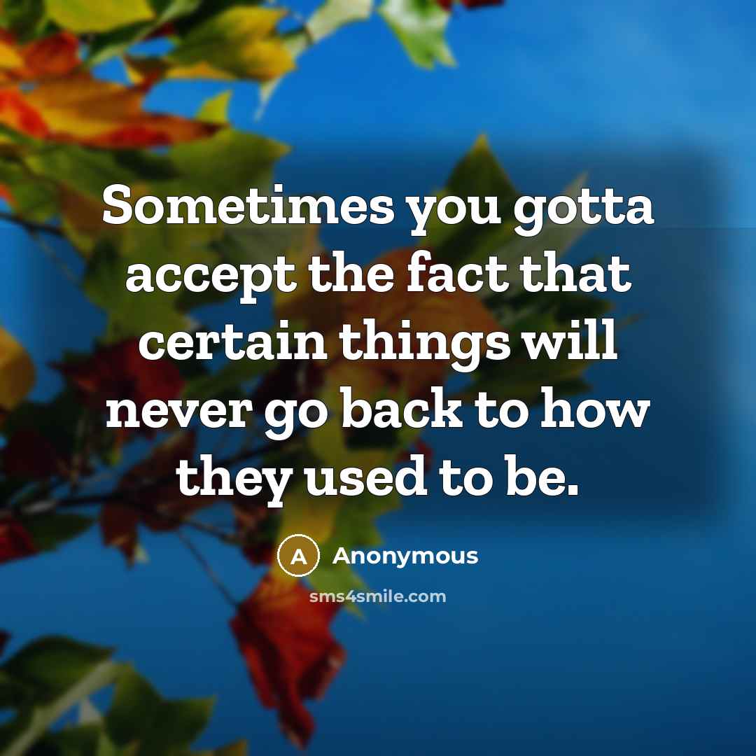 “Sometimes you gotta accept the fact that certain things will never go back to how they used to be.” quote by Anonymous