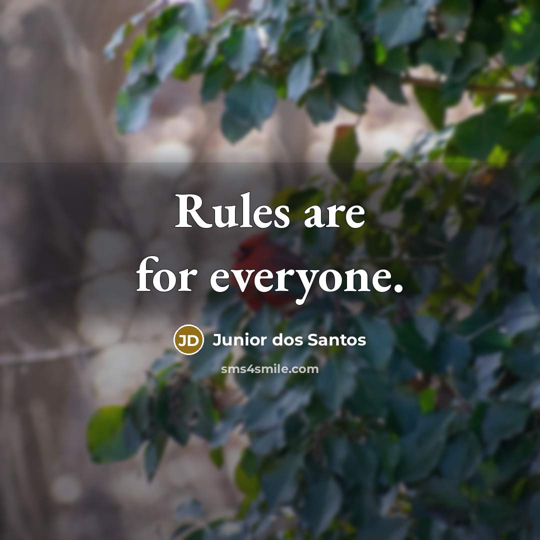 “Rules are for everyone.” quote by Junior dos Santos