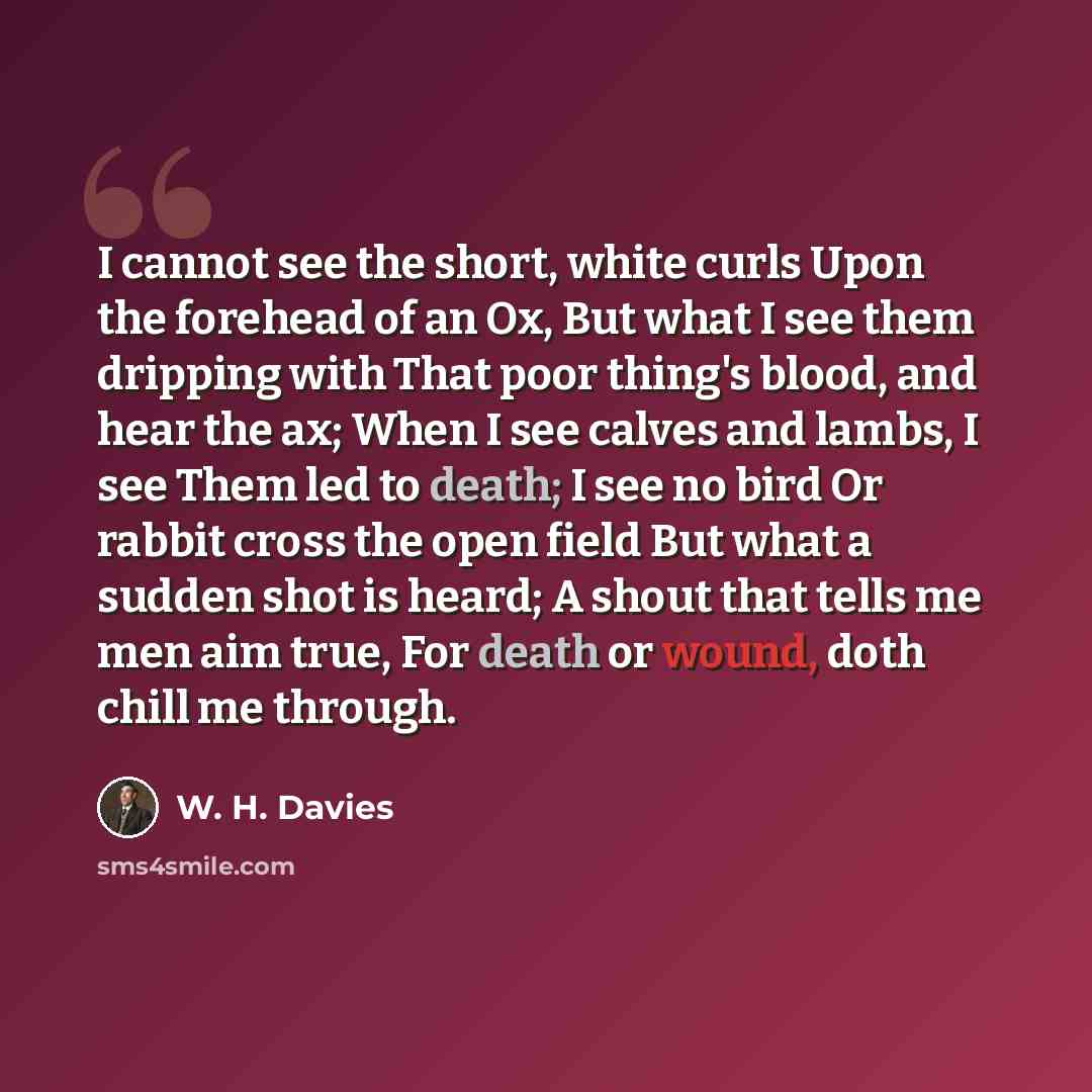 “I cannot see the short, white curls Upon the forehead of an Ox, But what I see them dripping with That poor thing's blood, and hear the ax; When I see calves and lambs, I see Them led to death; I see no bird Or rabbit cross the open field But what a sudden shot is heard; A shout that tells me men…” quote by W. H. Davies