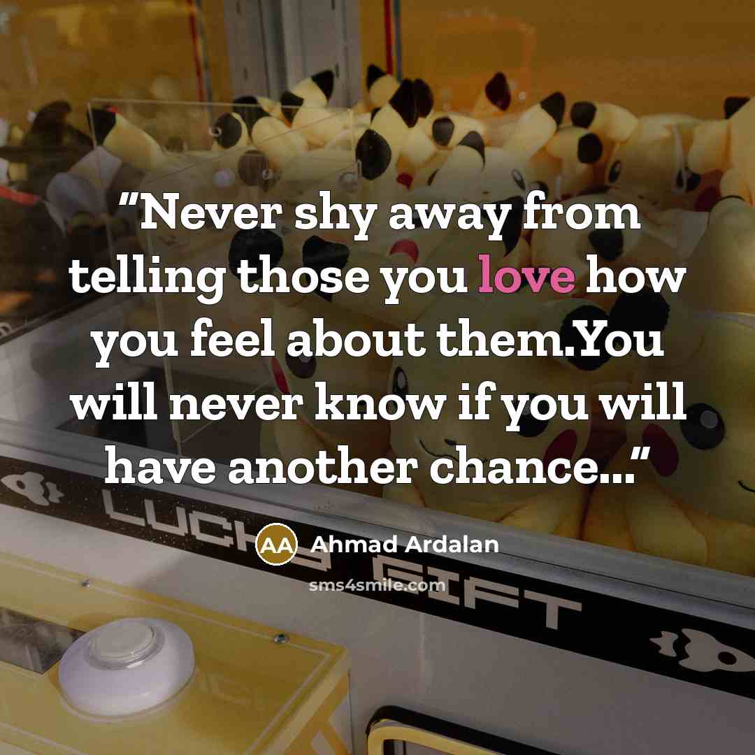 “Never shy away from telling those you love how you feel about them.You will never know if you will have another chance...” quote by Ahmad Ardalan