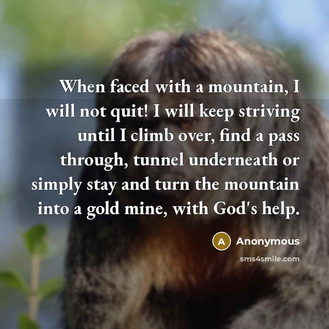 “When faced with a mountain, I will not quit! I will keep striving until I climb over, find a pass through, tunnel underneath or simply stay and turn the mountain into a gold mine, with God's help.” quote by Anonymous