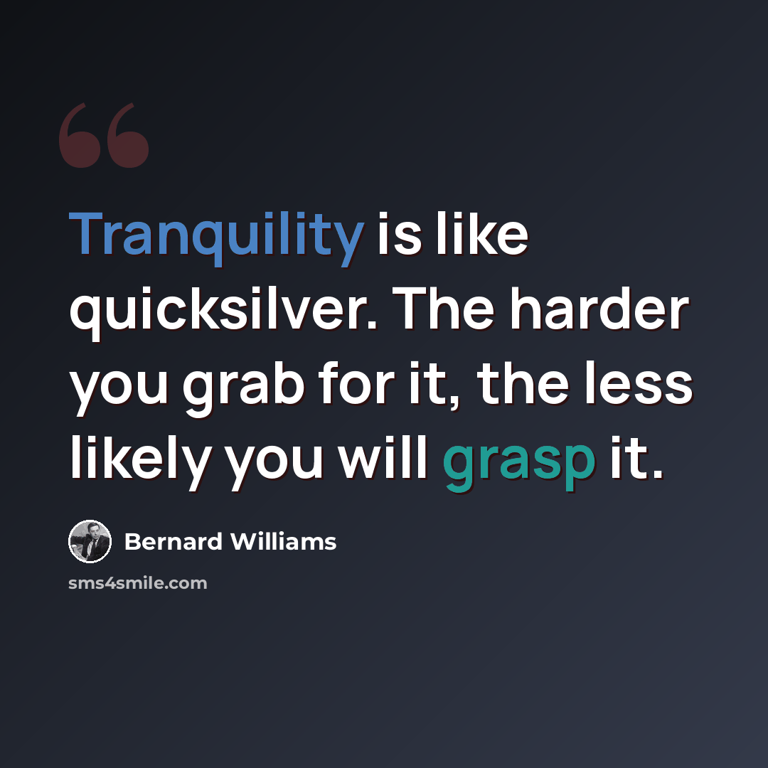 “Tranquility is like quicksilver. The harder you grab for it, the less likely you will grasp it.” quote by Bernard Williams