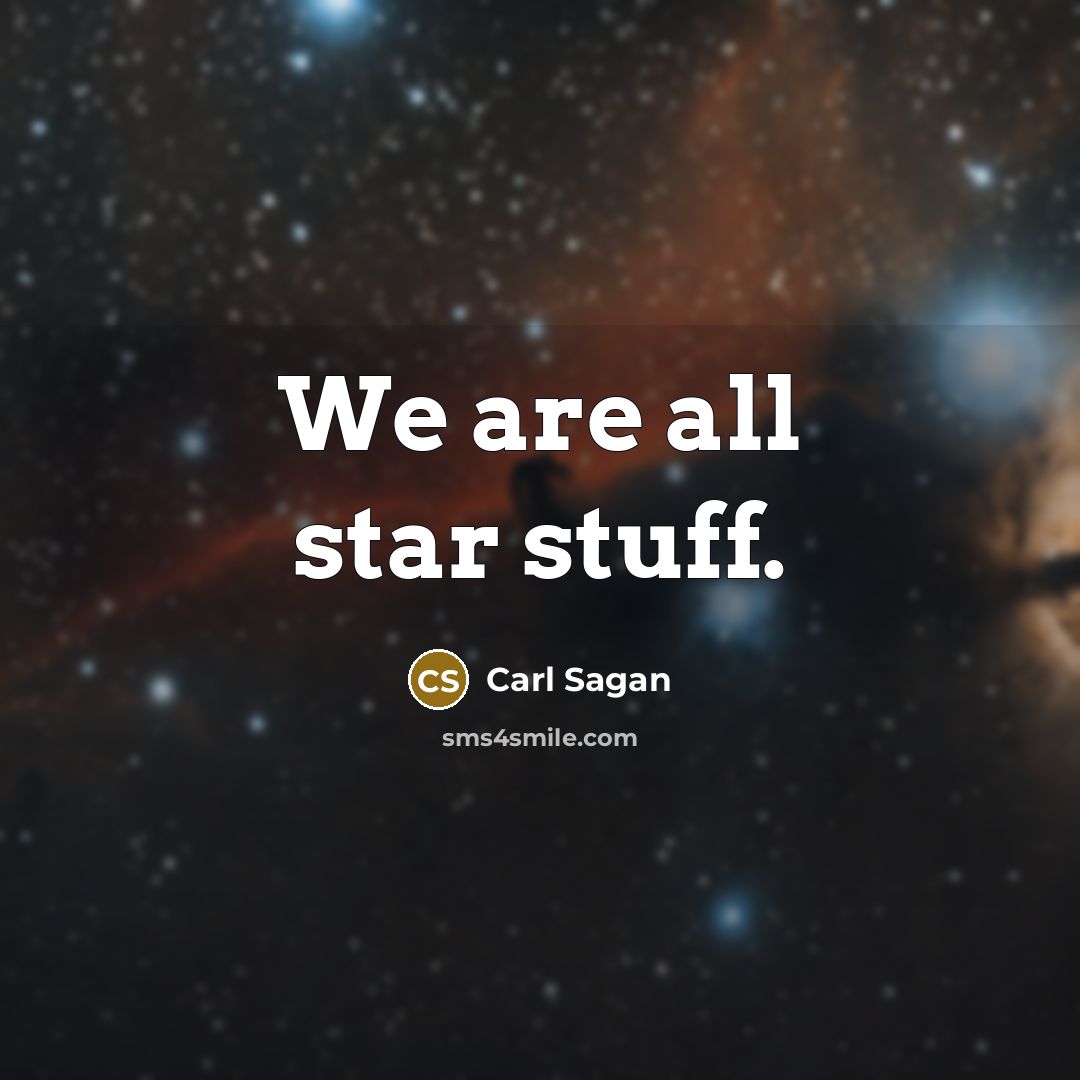 “We are all star stuff.” quote by Carl Sagan