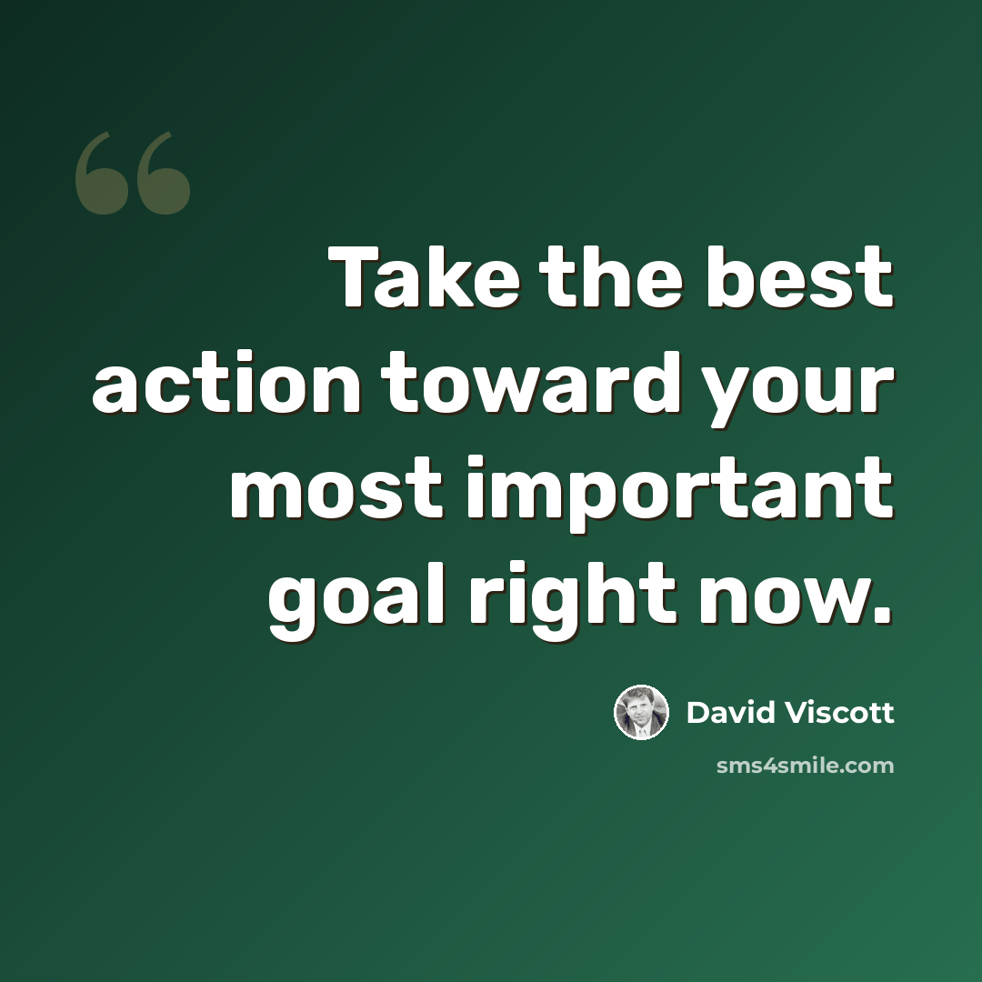 “Take the best action toward your most important goal right now.” quote by David Viscott