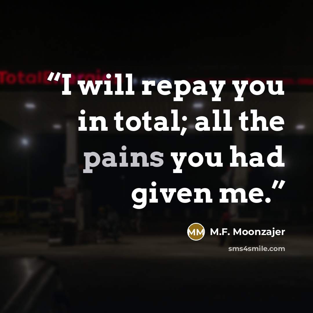 “I will repay you in total; all the pains you had given me.” quote by M.F. Moonzajer
