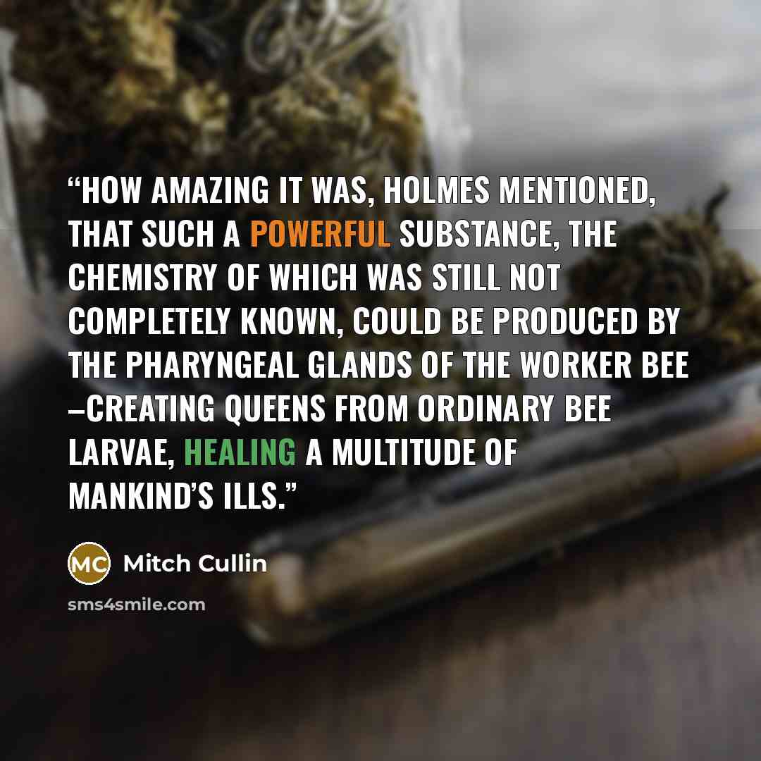 “How amazing it was, Holmes mentioned, that such a powerful substance, the chemistry of which was still not completely known, could be produced by the pharyngeal glands of the worker bee –creating queens from ordinary bee larvae, healing a multitude of mankind’s ills.” quote by Mitch Cullin