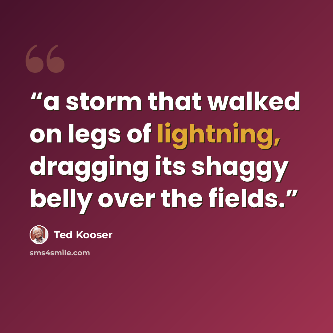 “a storm that walked on legs of lightning, dragging its shaggy belly over the fields.” quote by Ted Kooser