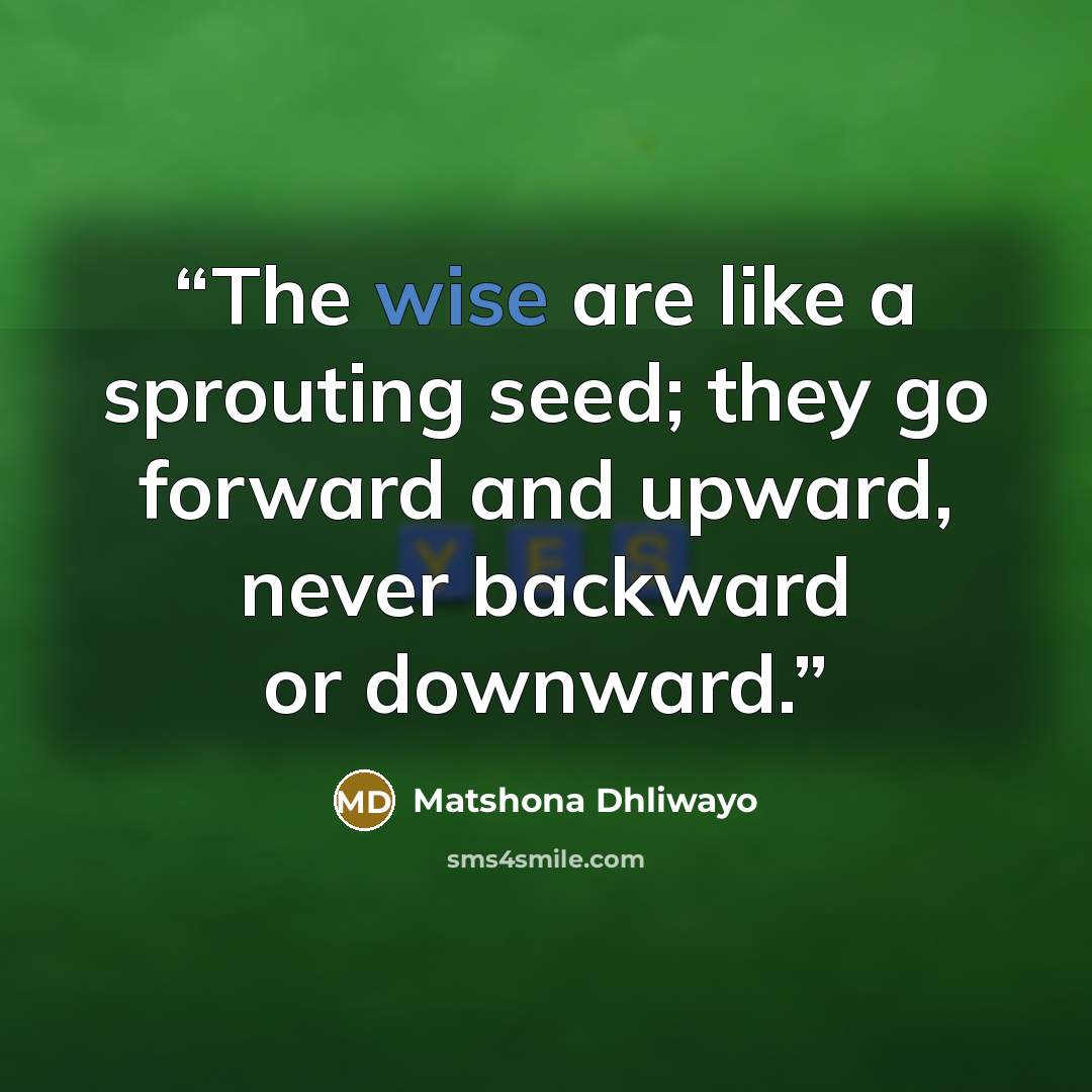 “The wise are like a sprouting seed; they go forward and upward, never backward or downward.” quote by Matshona Dhliwayo