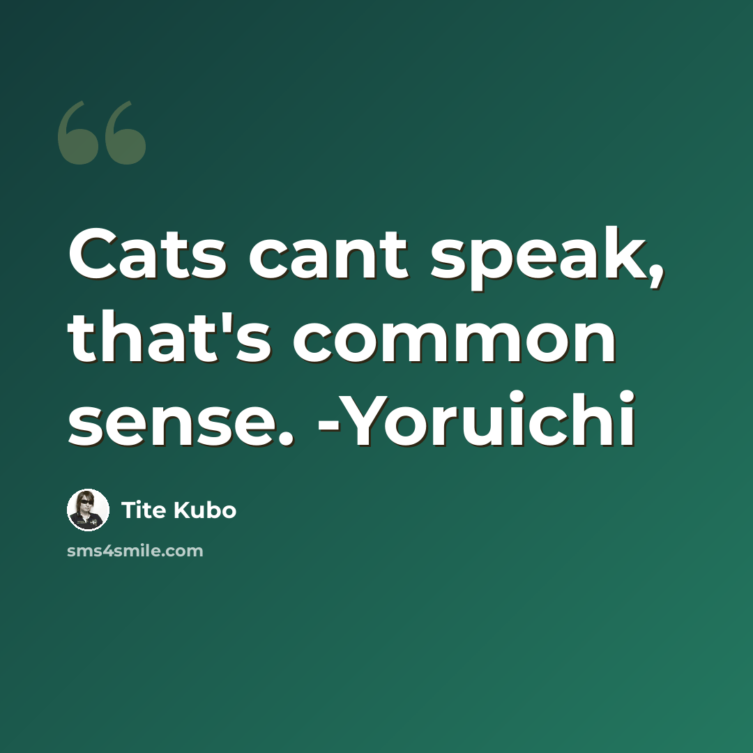 “Cats cant speak, that's common sense. -Yoruichi” quote by Tite Kubo