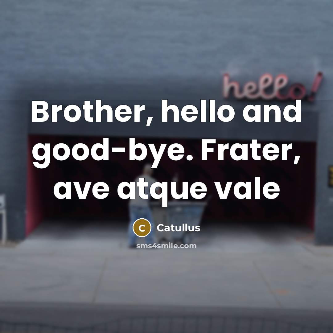 “Brother, hello and good-bye. Frater, ave atque vale” quote by Catullus
