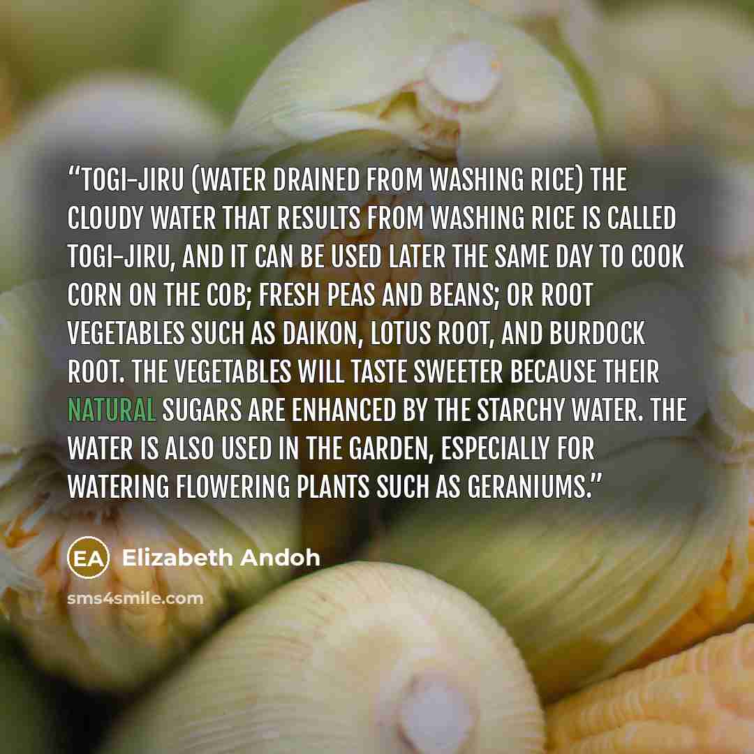 “Togi-Jiru (water drained from washing rice) The cloudy water that results from washing rice is called togi-jiru, and it can be used later the same day to cook corn on the cob; fresh peas and beans; or root vegetables such as daikon, lotus root, and burdock root. The vegetables will taste sweeter…” quote by Elizabeth Andoh
