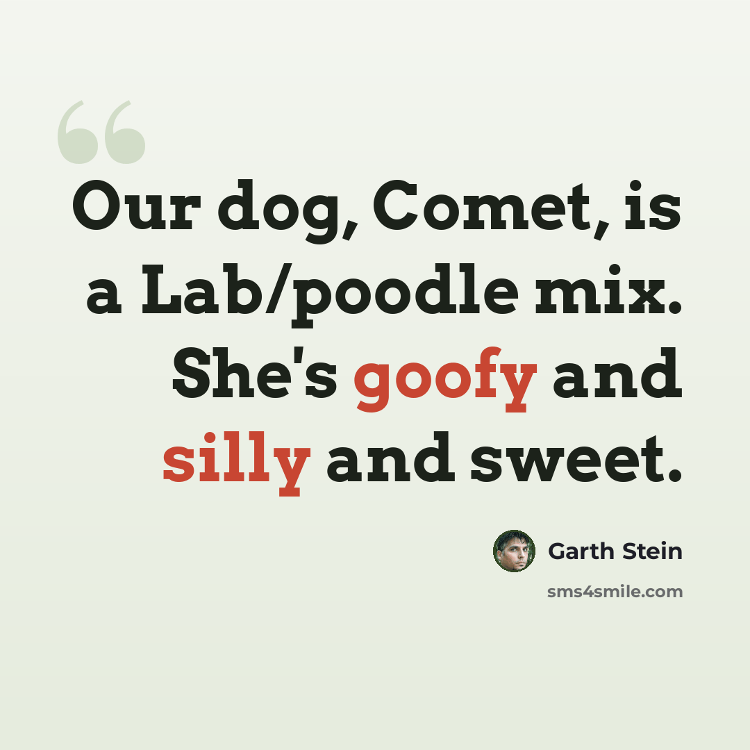 “Our dog, Comet, is a Lab/poodle mix. She's goofy and silly and sweet.” quote by Garth Stein