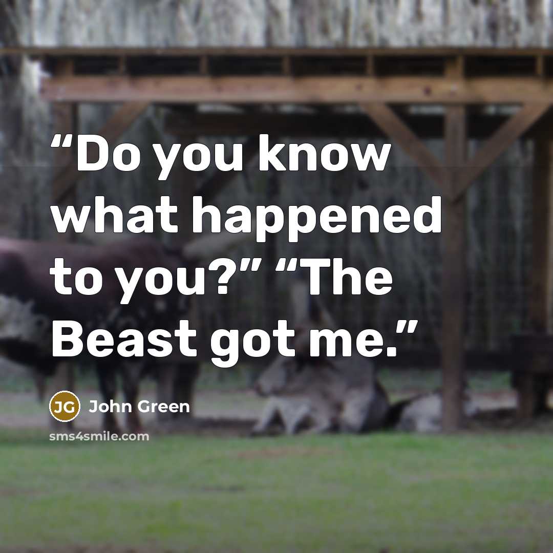 “Do you know what happened to you?” “The Beast got me.” quote by John Green