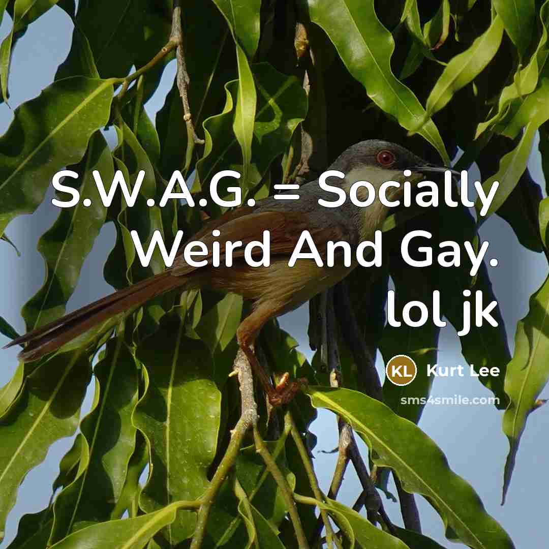 “S.W.A.G. = Socially Weird And Gay. lol jk” quote by Kurt Lee