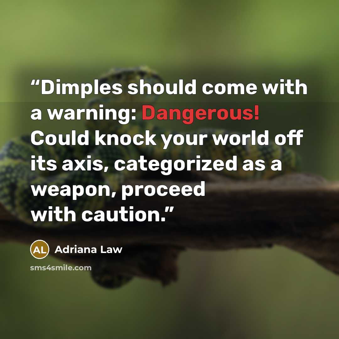 “Dimples should come with a warning: Dangerous! Could knock your world off its axis, categorized as a weapon, proceed with caution.” quote by Adriana Law