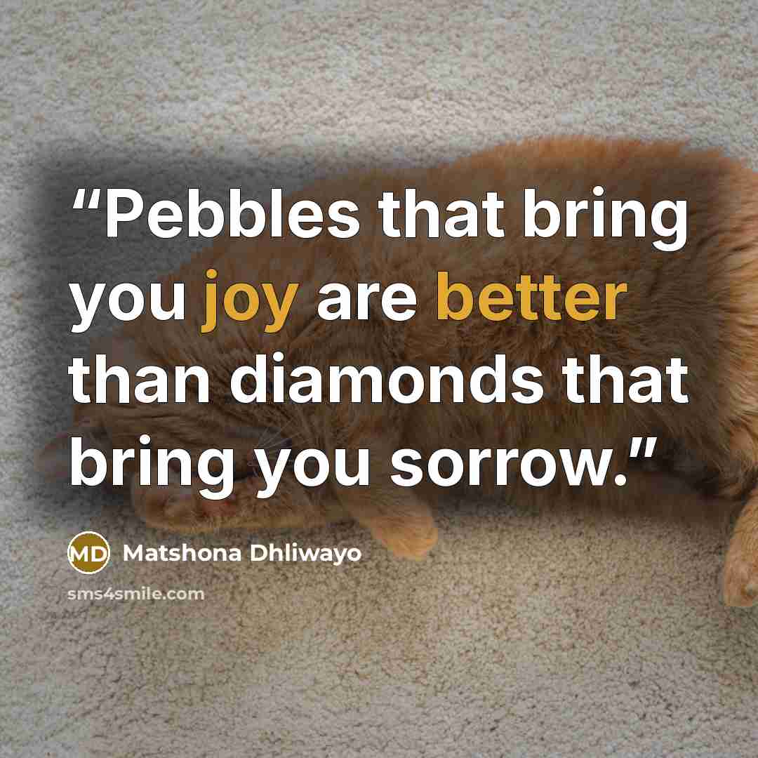 “Pebbles that bring you joy are better than diamonds that bring you sorrow.” quote by Matshona Dhliwayo