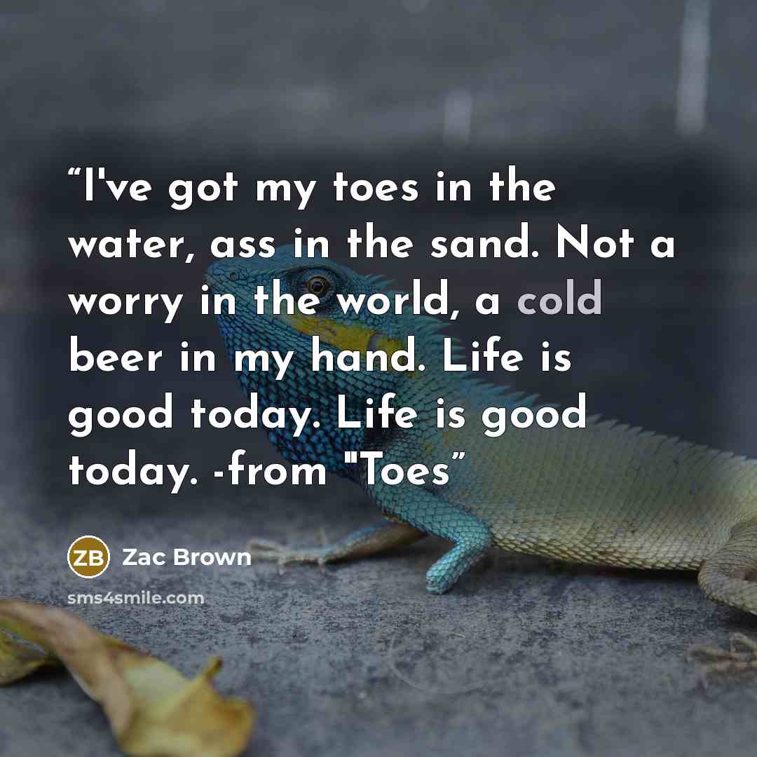 “I've got my toes in the water, ass in the sand. Not a worry in the world, a cold beer in my hand. Life is good today. Life is good today. -from "Toes” quote by Zac Brown