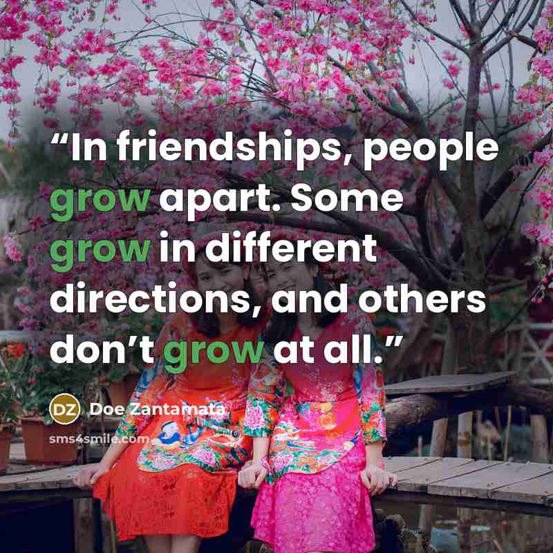 “In friendships, people grow apart. Some grow in different directions, and others don’t grow at all.” quote by Doe Zantamata