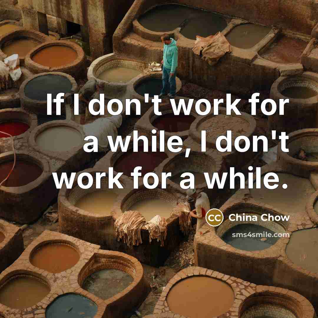“If I don't work for a while, I don't work for a while.” quote by China Chow
