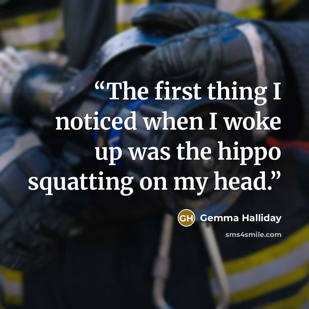 “The first thing I noticed when I woke up was the hippo squatting on my head.” quote by Gemma Halliday