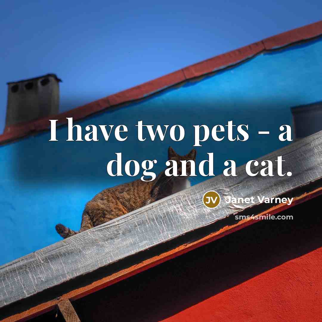 “I have two pets - a dog and a cat.” quote by Janet Varney