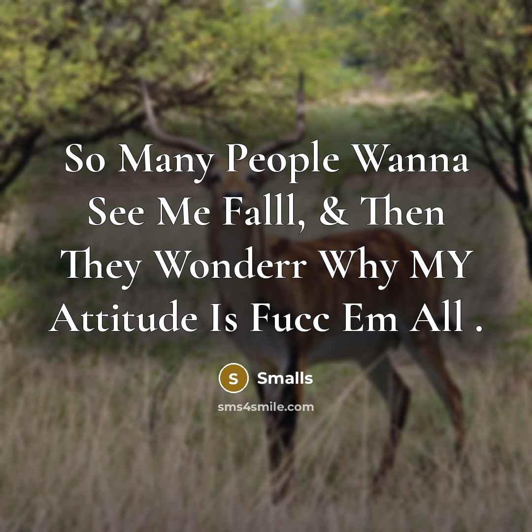“So Many People Wanna See Me Falll, & Then They Wonderr Why MY Attitude Is Fucc Em All .” quote by Smalls