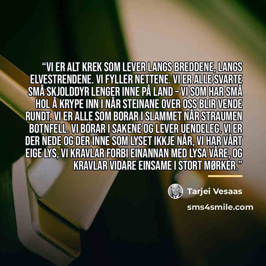“Vi er alt krek som lever langs breddene, langs elvestrendene. Vi fyller nettene. Vi er alle svarte små skjolddyr lenger inne på land – vi som har små hol å krype inn i når steinane over oss blir vende rundt. Vi er alle som borar i slammet når straumen botnfell. Vi borar i sakene og lever uendeleg…” quote by Tarjei Vesaas