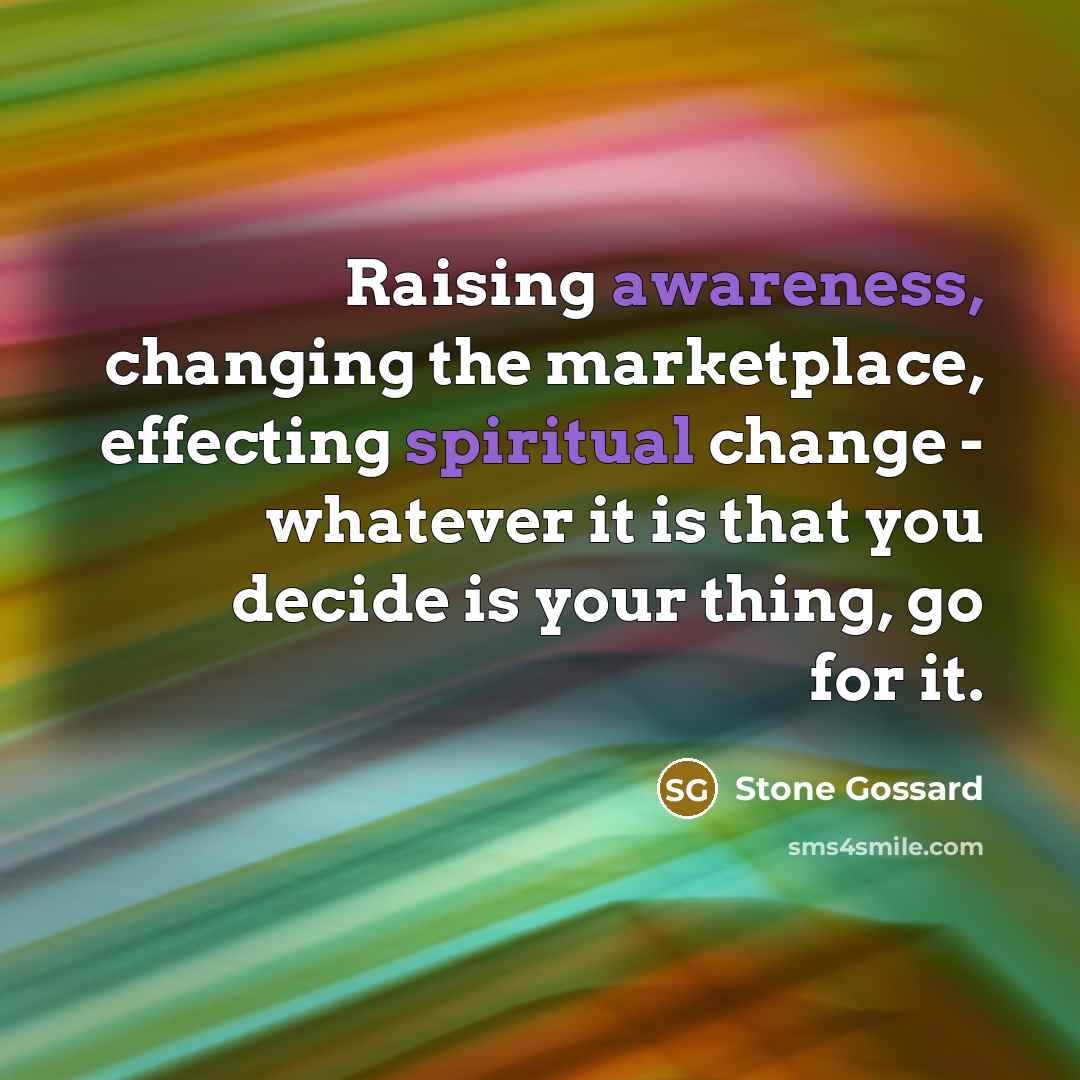 “Raising awareness, changing the marketplace, effecting spiritual change - whatever it is that you decide is your thing, go for it.” quote by Stone Gossard