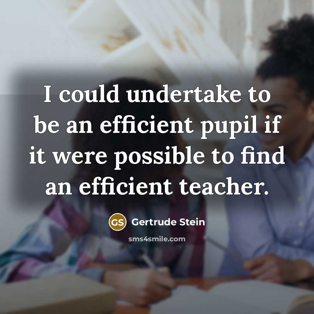 “I could undertake to be an efficient pupil if it were possible to find an efficient teacher.” quote by Gertrude Stein