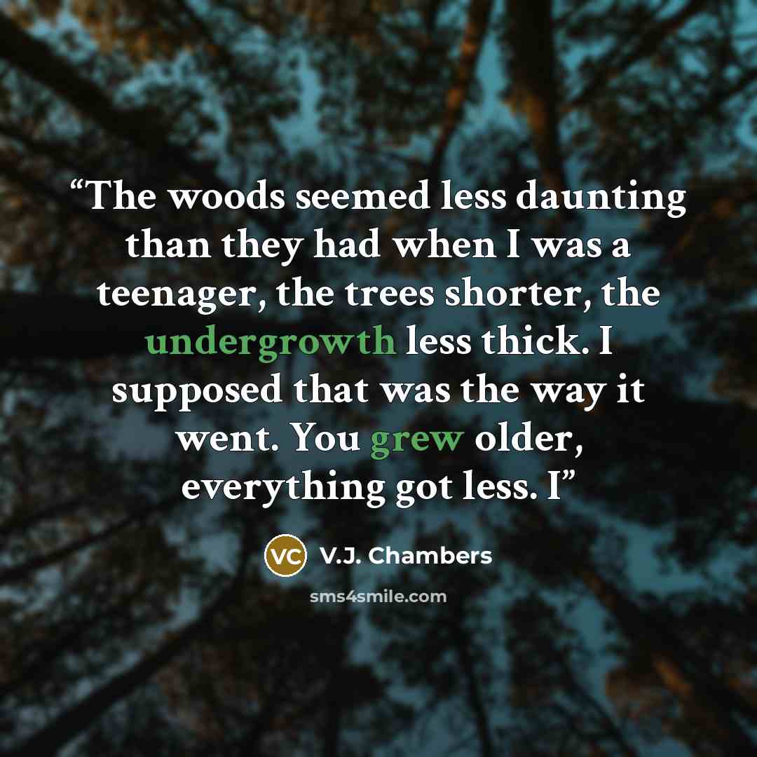 “The woods seemed less daunting than they had when I was a teenager, the trees shorter, the undergrowth less thick. I supposed that was the way it went. You grew older, everything got less. I” quote by V.J. Chambers