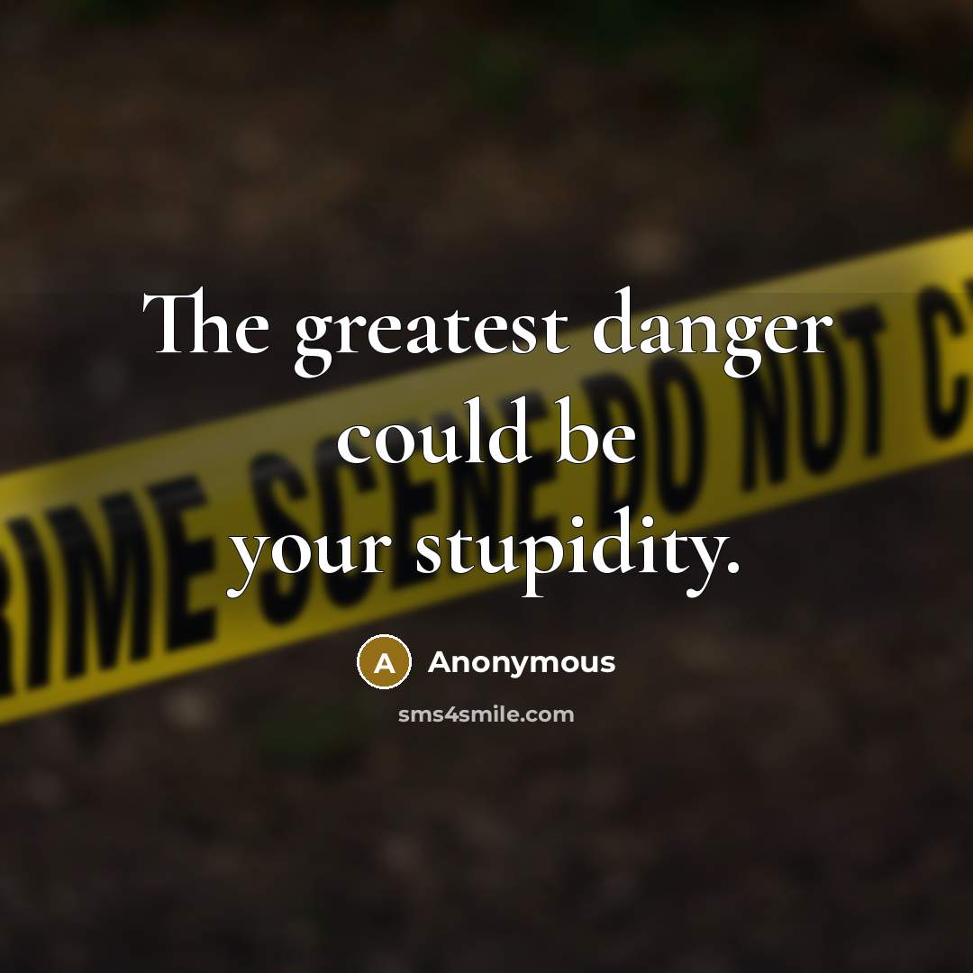 “The greatest danger could be your stupidity.” quote by Anonymous