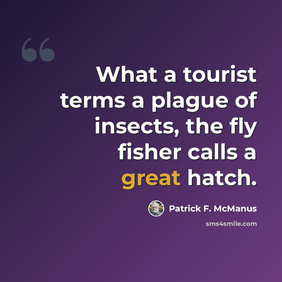 “What a tourist terms a plague of insects, the fly fisher calls a great hatch.” quote by Patrick F. McManus