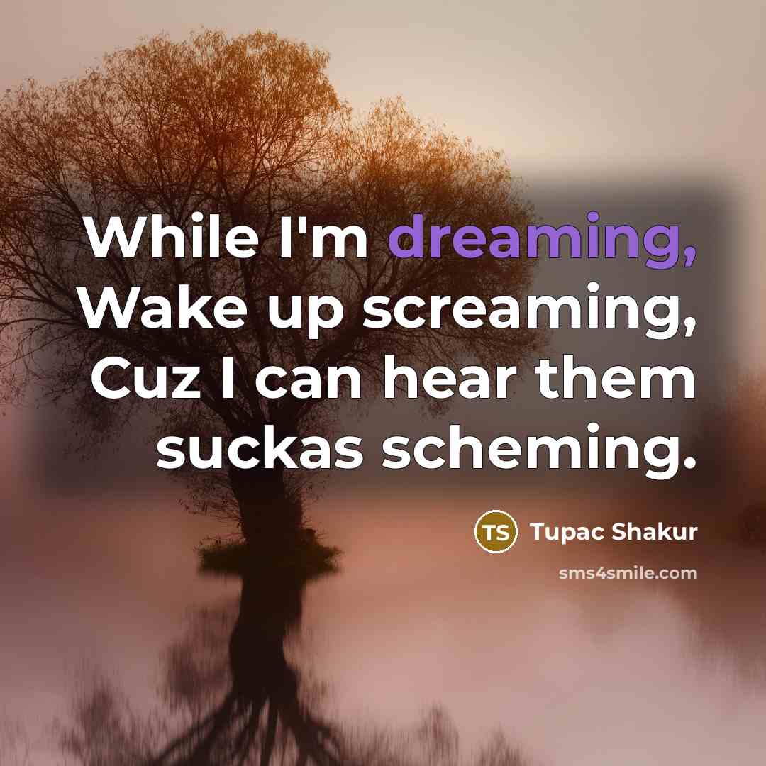 “While I'm dreaming, Wake up screaming, Cuz I can hear them suckas scheming.” quote by Tupac Shakur