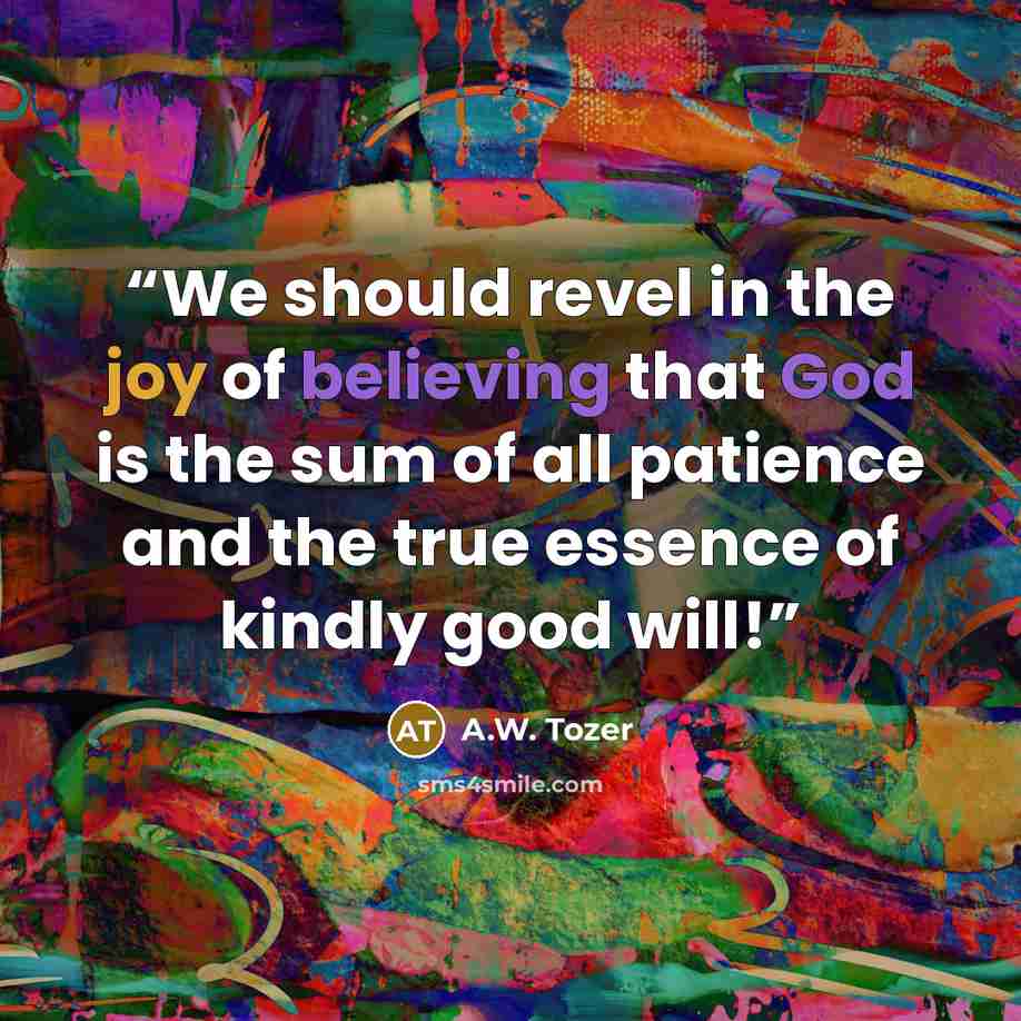 “We should revel in the joy of believing that God is the sum of all patience and the true essence of kindly good will!” quote by A.W. Tozer