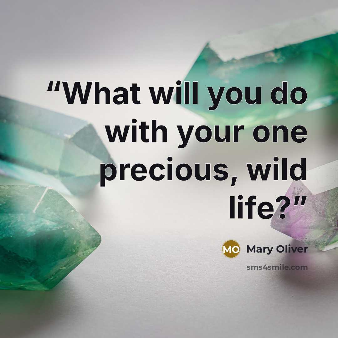 “What will you do with your one precious, wild life?” quote by Mary Oliver