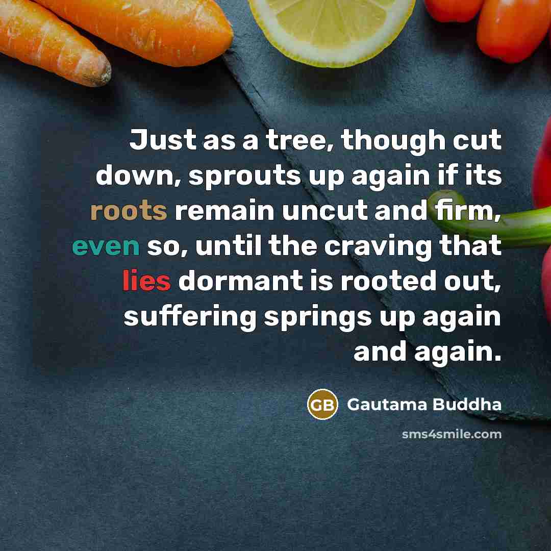 “Just as a tree, though cut down, sprouts up again if its roots remain uncut and firm, even so, until the craving that lies dormant is rooted out, suffering springs up again and again.” quote by Gautama Buddha