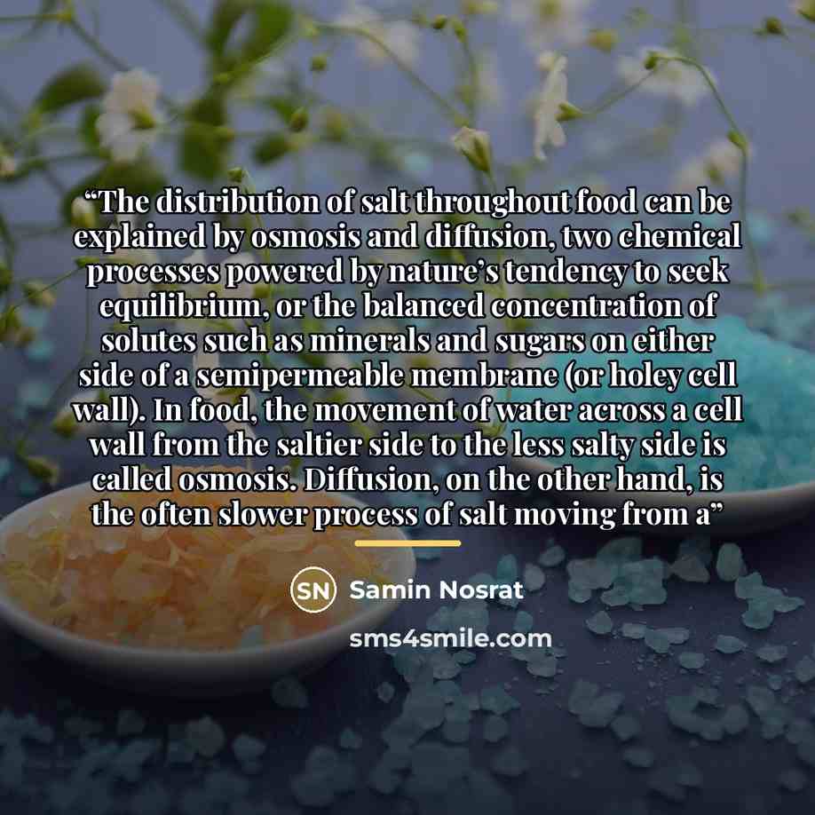 “The distribution of salt throughout food can be explained by osmosis and diffusion, two chemical processes powered by nature’s tendency to seek equilibrium, or the balanced concentration of solutes such as minerals and sugars on either side of a semipermeable membrane (or holey cell wall). In…” quote by Samin Nosrat