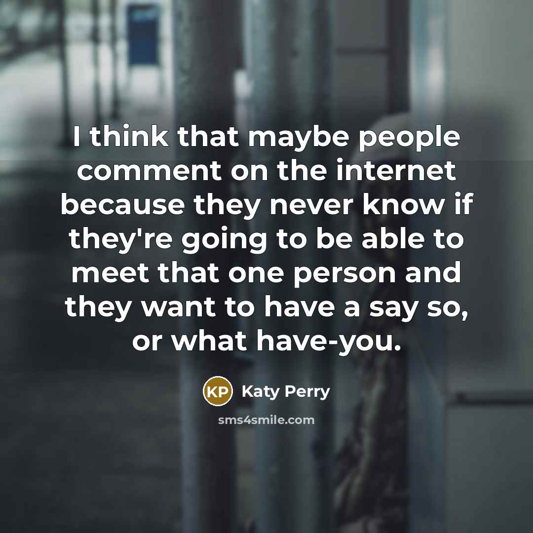 “I think that maybe people comment on the internet because they never know if they're going to be able to meet that one person and they want to have a say so, or what have-you.” quote by Katy Perry