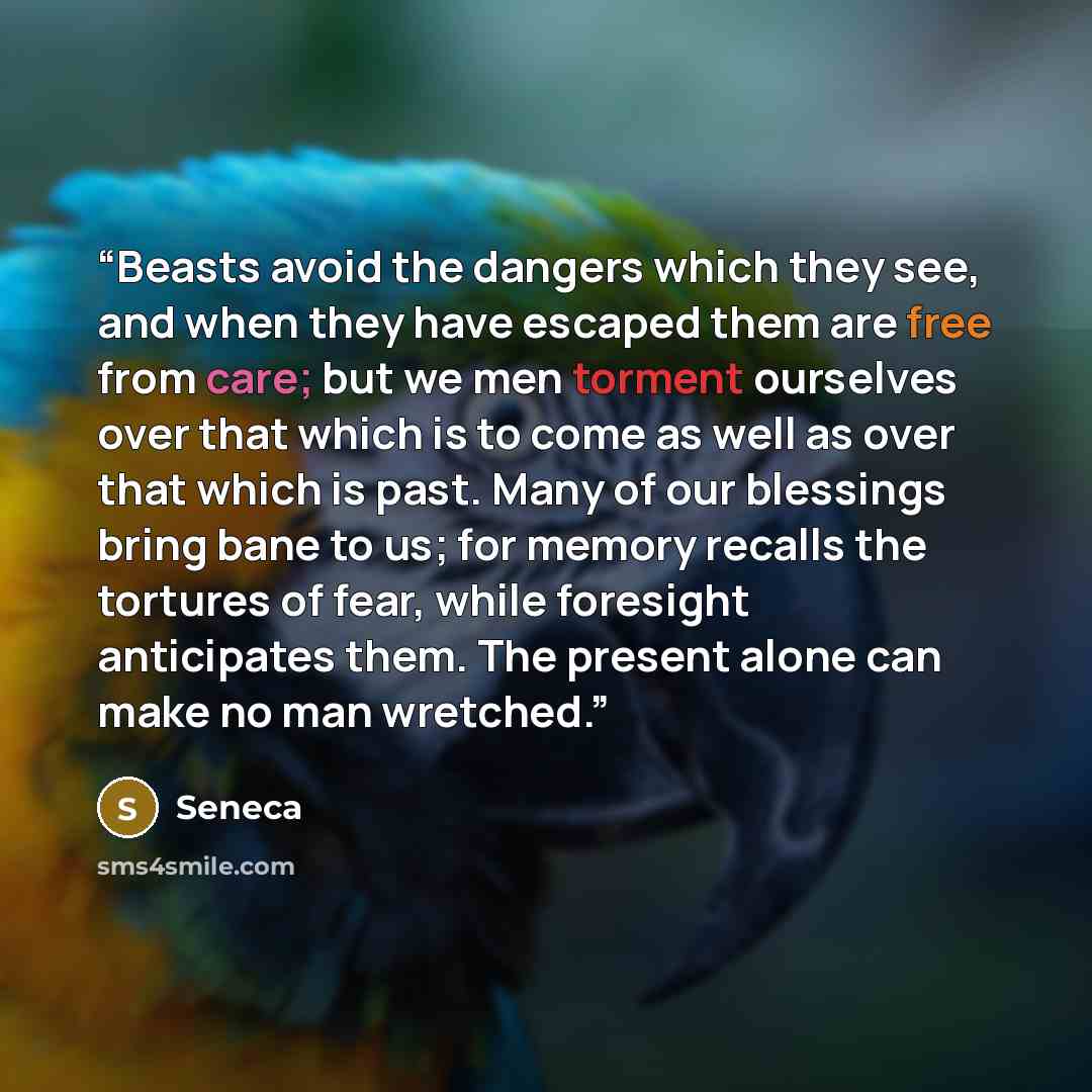“Beasts avoid the dangers which they see, and when they have escaped them are free from care; but we men torment ourselves over that which is to come as well as over that which is past. Many of our blessings bring bane to us; for memory recalls the tortures of fear, while foresight anticipates…” quote by Seneca