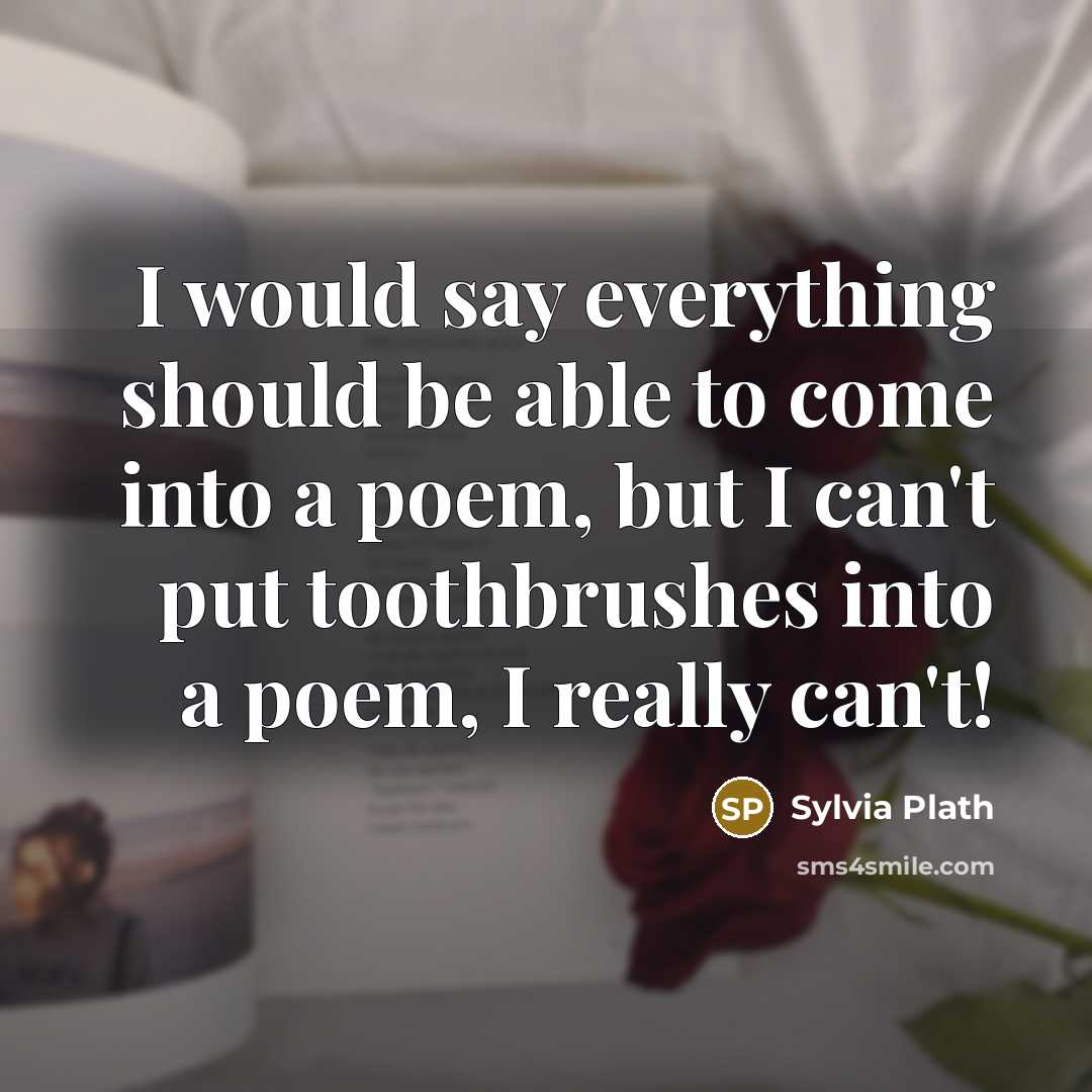 “I would say everything should be able to come into a poem, but I can't put toothbrushes into a poem, I really can't!” quote by Sylvia Plath
