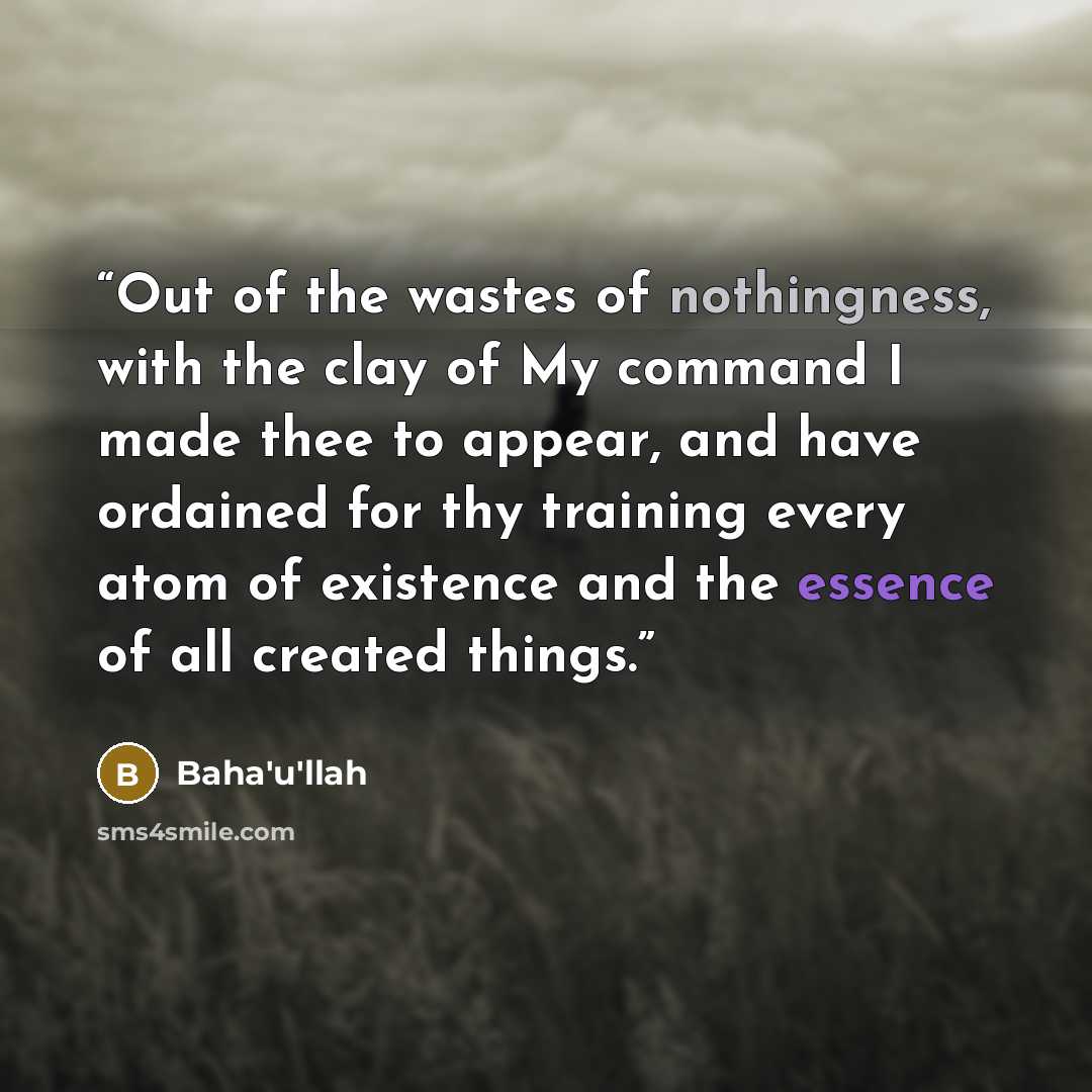 “Out of the wastes of nothingness, with the clay of My command I made thee to appear, and have ordained for thy training every atom of existence and the essence of all created things.” quote by Baha'u'llah