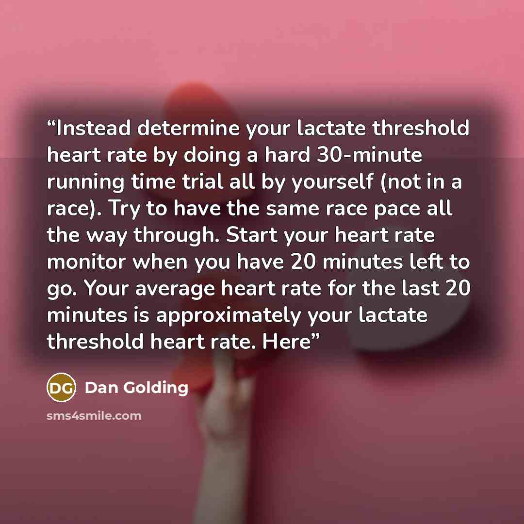“Instead determine your lactate threshold heart rate by doing a hard 30-minute running time trial all by yourself (not in a race). Try to have the same race pace all the way through. Start your heart rate monitor when you have 20 minutes left to go. Your average heart rate for the last 20 minutes…” quote by Dan Golding