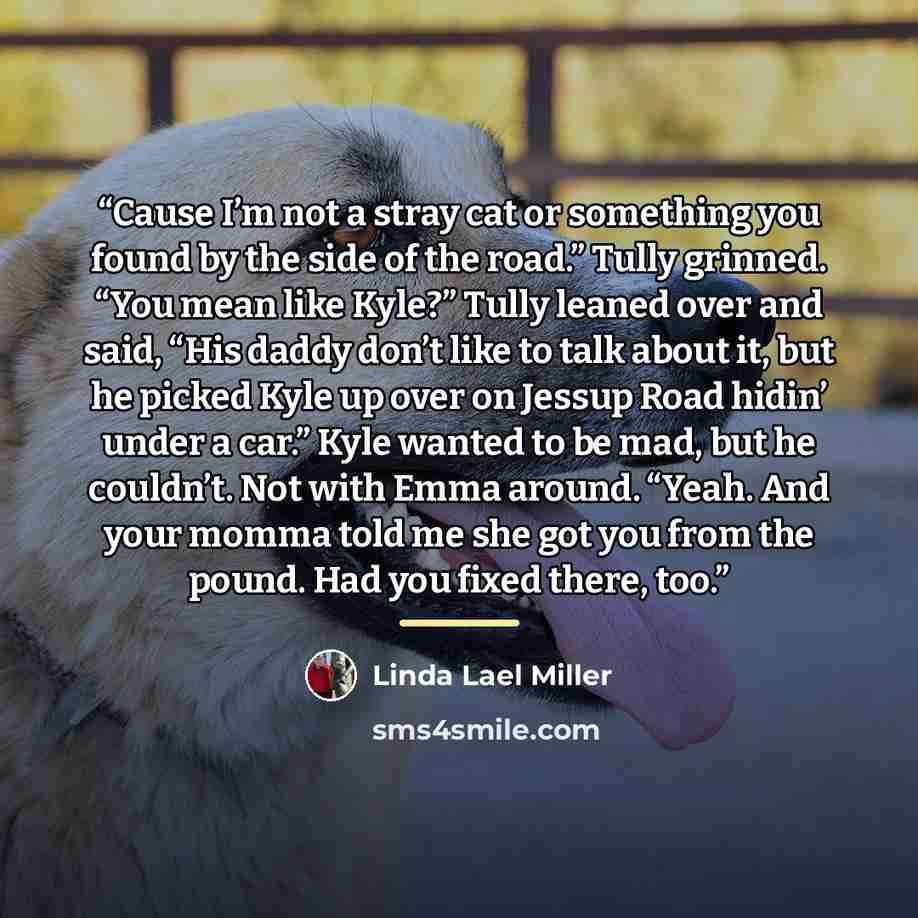 “Cause I’m not a stray cat or something you found by the side of the road.” Tully grinned. “You mean like Kyle?” Tully leaned over and said, “His daddy don’t like to talk about it, but he picked Kyle up over on Jessup Road hidin’ under a car.” Kyle wanted to be mad, but he couldn’t. Not with Emma…” quote by Linda Lael Miller