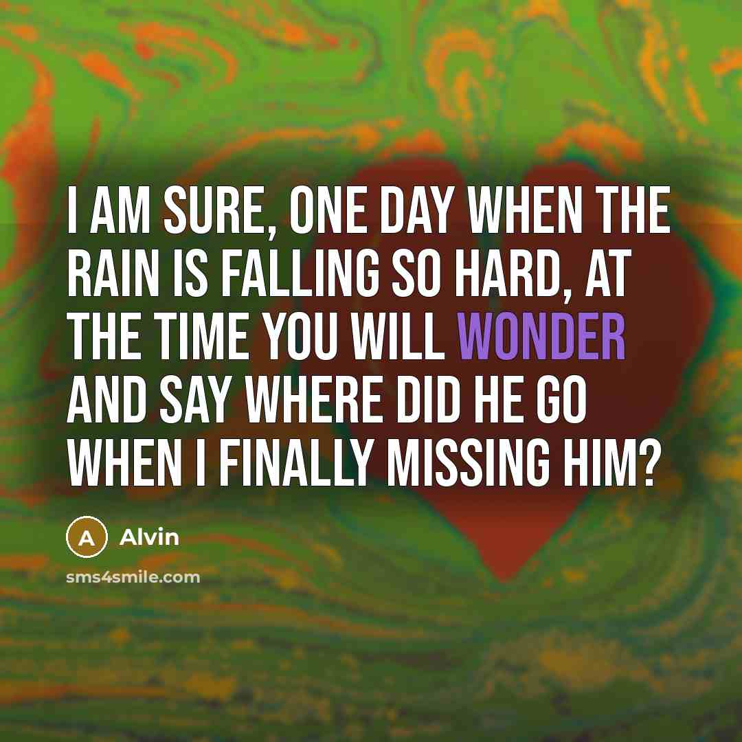 “I am sure, one day when the rain is falling so hard, at the time you will wonder and say Where did he go when I finally missing him?” quote by Alvin