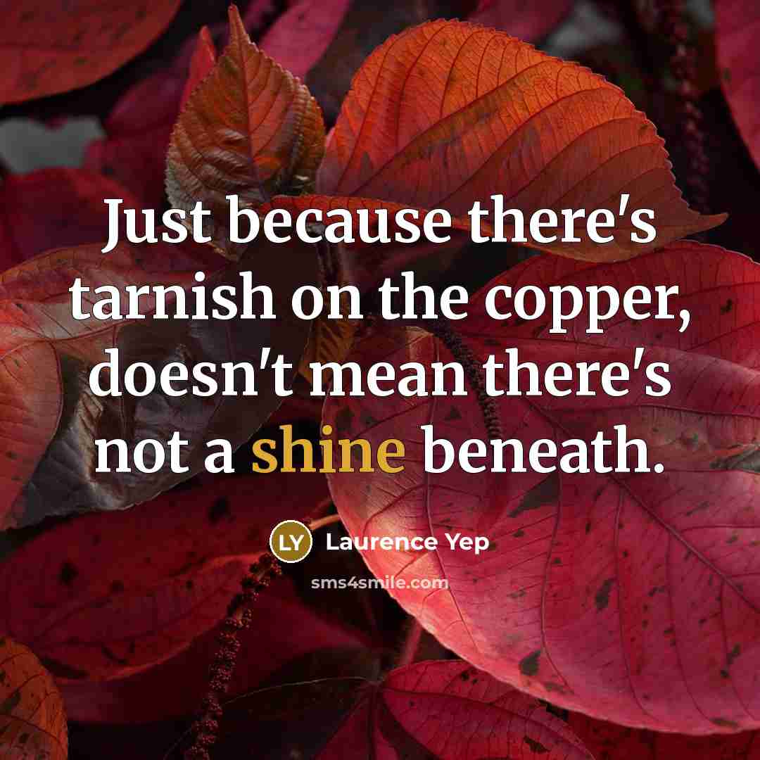 “Just because there's tarnish on the copper, doesn't mean there's not a shine beneath.” quote by Laurence Yep