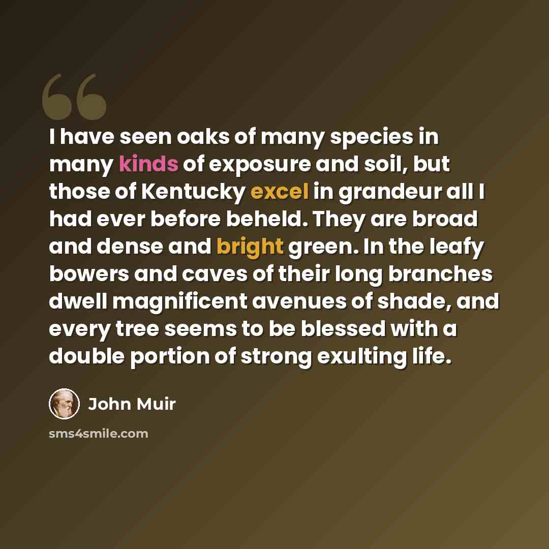 “I have seen oaks of many species in many kinds of exposure and soil, but those of Kentucky excel in grandeur all I had ever before beheld. They are broad and dense and bright green. In the leafy bowers and caves of their long branches dwell magnificent avenues of shade, and every tree seems to be…” quote by John Muir