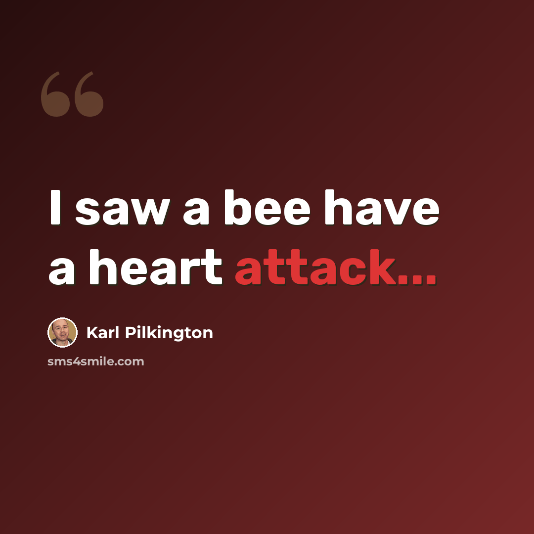 “I saw a bee have a heart attack...” quote by Karl Pilkington